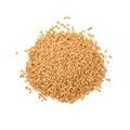 British Golden Linseed