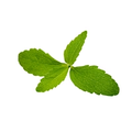 Stevia Leaf Extract