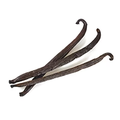 Madagascan Vanilla